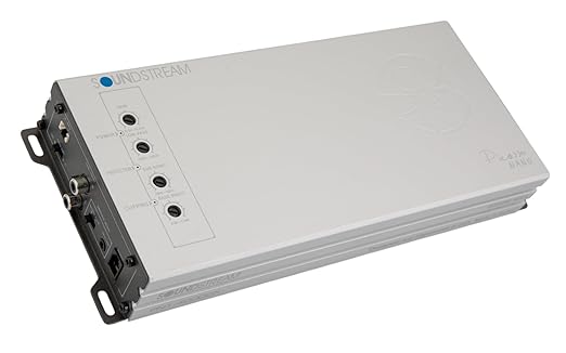 PN1-4000DX | Picasso Nano Series 4000W Monoblock 1 Channel Amplifier - Image 3