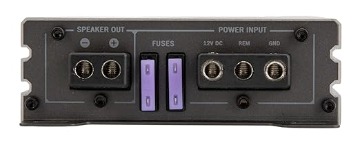 PN1-4000DX | Picasso Nano Series 4000W Monoblock 1 Channel Amplifier - Image 5
