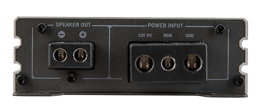 PN1-6000DX | Picasso Nano Series 6000W Monoblock 1 Channel Amplifier - Image 5